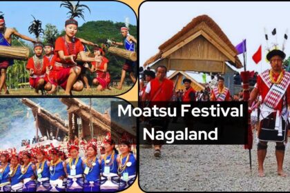 Moatsu Festival Nagaland