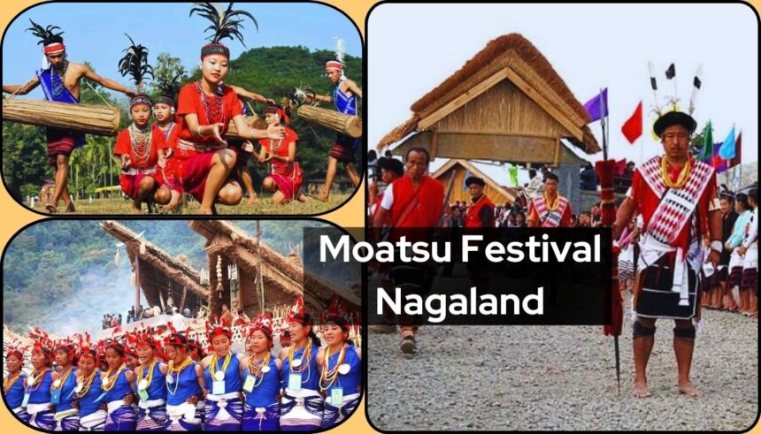 Moatsu Festival Nagaland